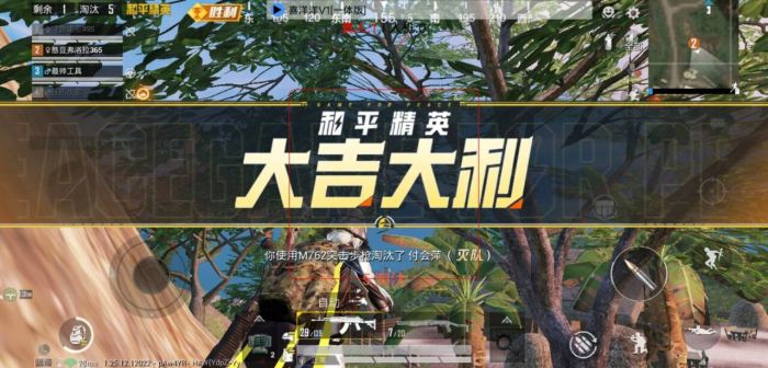 和平精英辅助 - 一键上分黑科技 - 安卓苹果模拟器全支持